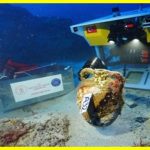 Біля Туреччини на затонулому судні знайшли запечатану амфору віком 1100 років. Підводні розкопки призвели до сенсаційного відкриття