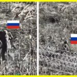 Sticks instead of crutches and go ahead