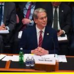 Putin is a war criminal