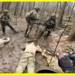 Ukrainian special forces captured a group of occupiers