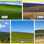 Легендарний зелений пагорб зі шпалер Windows XP