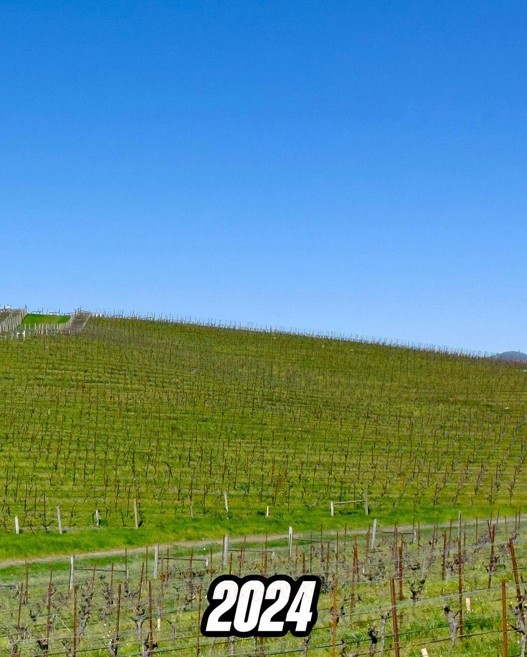 What the legendary green hill from the Windows XP wallpaper looks like ...