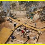 400,000 years ago, humans could hibernate in winter