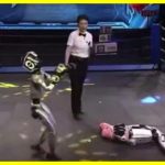 Перший у світі турнір з боксу серед роботів