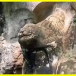 В Бразилії археологи виявили загадкові наскальні сліди