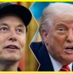 Трамп знову пригрозив Маску