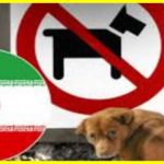 Iran imposes a massive ban on dog walking