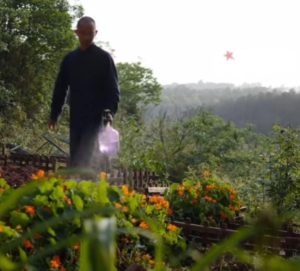 A Chinese man has been living in a cave for four years already