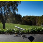 Starlink може становити загрозу нацбезпеці США