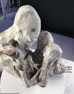 Scientists prove uniqueness of remains of mysterious mummies from Peru