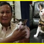 Кіт президента Індонезії отримав державну охорону