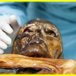 Дослідження ДНК крижаної людини вказала на зниклих предків