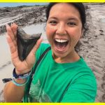 Дівчина на пляжі знайшла зуб доісторичної акули