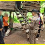 У Таїланді знайдено дитину Мауглі