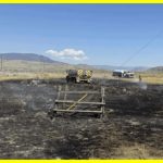 Fish falling from the sky caused a fire