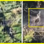 The blow was accurate. The Russian infantry offensive ended