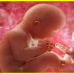 Народилася дитина з ембріона, який зберігався 30 років