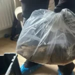 Huge Rat Almost the Size of a Cat Caught in the UK