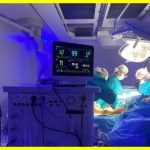 A pig lung has been transplanted into a human for the first time