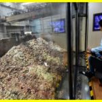 У Китаї закінчується сміття