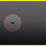 Russian cruise missile destroyed by simple anti-aircraft gun