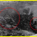 Archival video of UFO released