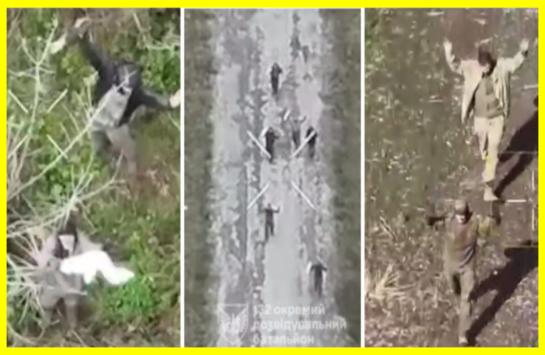 Ukrainian paratroopers captured more than 50 Russians