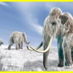 ДНК бактерій із зуба мамонта