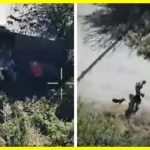 Instant retribution for stealing from an elderly woman