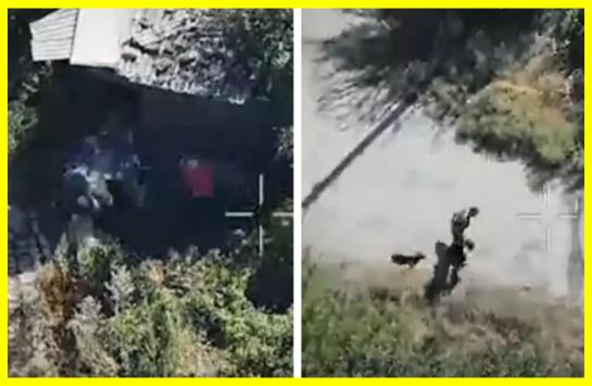 Instant retribution for stealing from an elderly woman