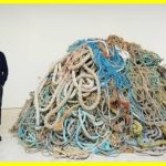 За 1 млн фунтів: гігантська купа зі старих мотузок, що згнили від часу та морської води від Девіда Шріглі – провокація сучасного мистецтва