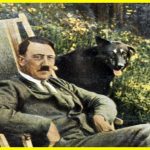 Hitler Had Micropenis & Kallmann Syndrome: Shocking DNA discovery has revealed a rare genetic disorder that delayed puberty in Hitler