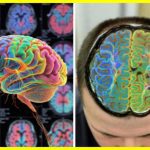 Adolescence Doesn’t End at 25 — It Lasts Until Age 32, According to Cambridge Scientists