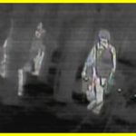 They tried to hide behind trees and “invisible” cloaks: an epic video of Ukrainian drones hunting Russian occupiers at night