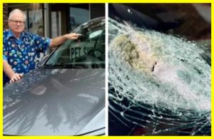 Meteorite crashes into Tesla car