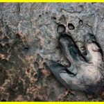 Сенсаційне відкриття: тисячі слідів динозаврів у національному парку Стельвіо в Альпах