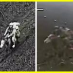 Due to equipment losses, Russians are resorting to horseback assaults