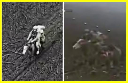 Due to equipment losses, Russians are resorting to horseback assaults