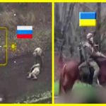 Ukrainian defenders repelled an attack by Russian stormtroopers on horseback, with the animals remaining unharmed in the battle