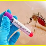 Chikungunya virus