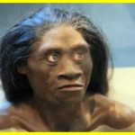 Climate Change Killed the Hobbits