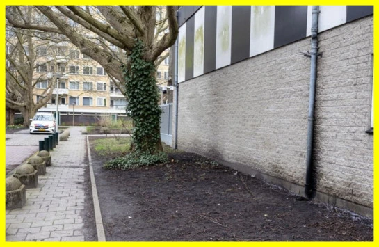 Explosion at Jewish School in Amsterdam 