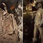D'Artagnan remains found in the Netherlands: a sensational historical find