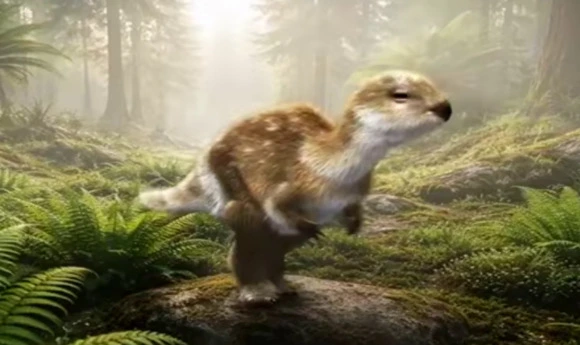 New Fluffy Dinosaur Species Doolysaurus huhmini Discovered in South Korea