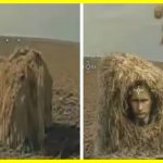 The Russians attempted to employ a new form of disguise