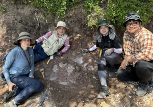 New Fluffy Dinosaur Species Doolysaurus huhmini Discovered in South Korea