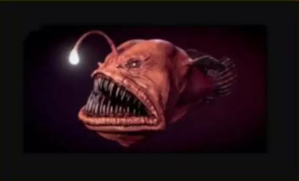 Monkfish spotted off the coast of the Canary Islands