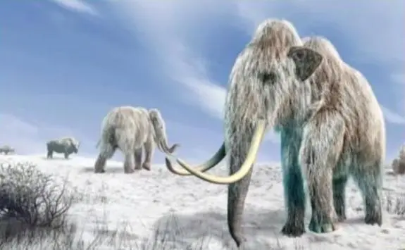 DNA of bacteria from a mammoth tooth