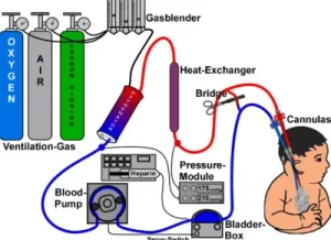 Man Survives 40 Hours Cardiac Arrest in China