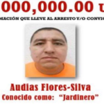 El Jardinero Captured: Major Blow to CJNG